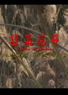 韭菜花开电影海报