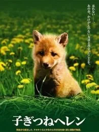 子狐物语电影海报