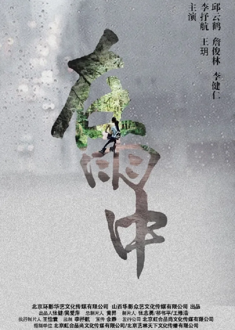 在雨中电影海报