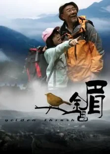 金画眉电影海报