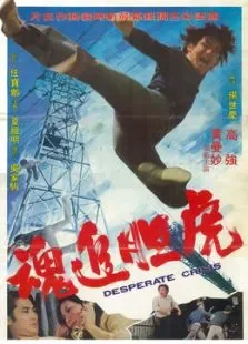 虎胆追魂电影海报