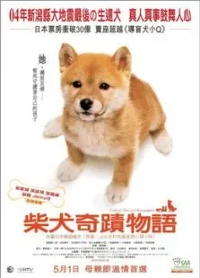 忠犬八公物语电影海报