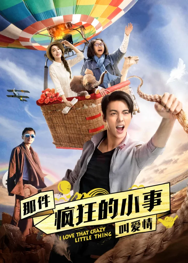 那件疯狂的小事叫爱情电影海报