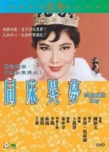 同床异梦电影海报