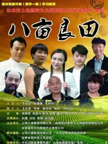 八亩良田电影海报