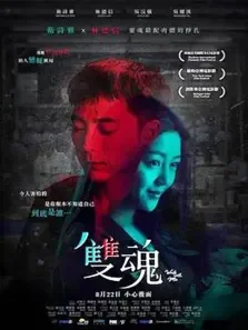 双魂电影海报