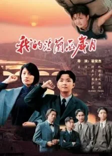 我的法兰西岁月电影海报