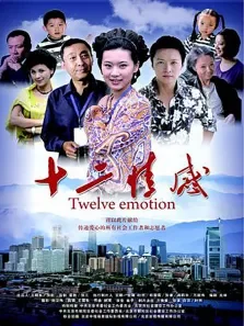 十二情感电影海报