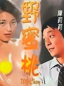 雾中情