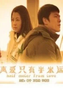 离爱只有半米远电影海报