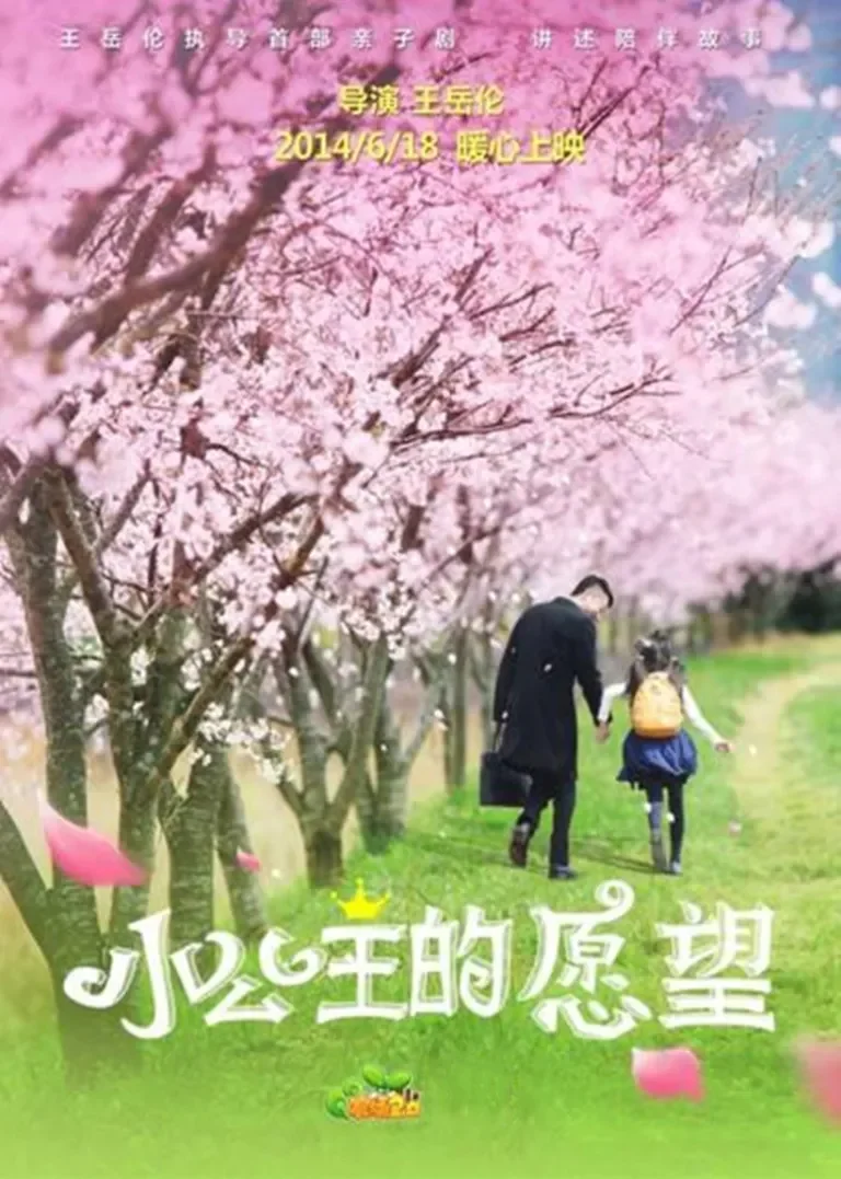 小公主的愿望电影海报