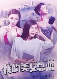 我的美女总监电影海报