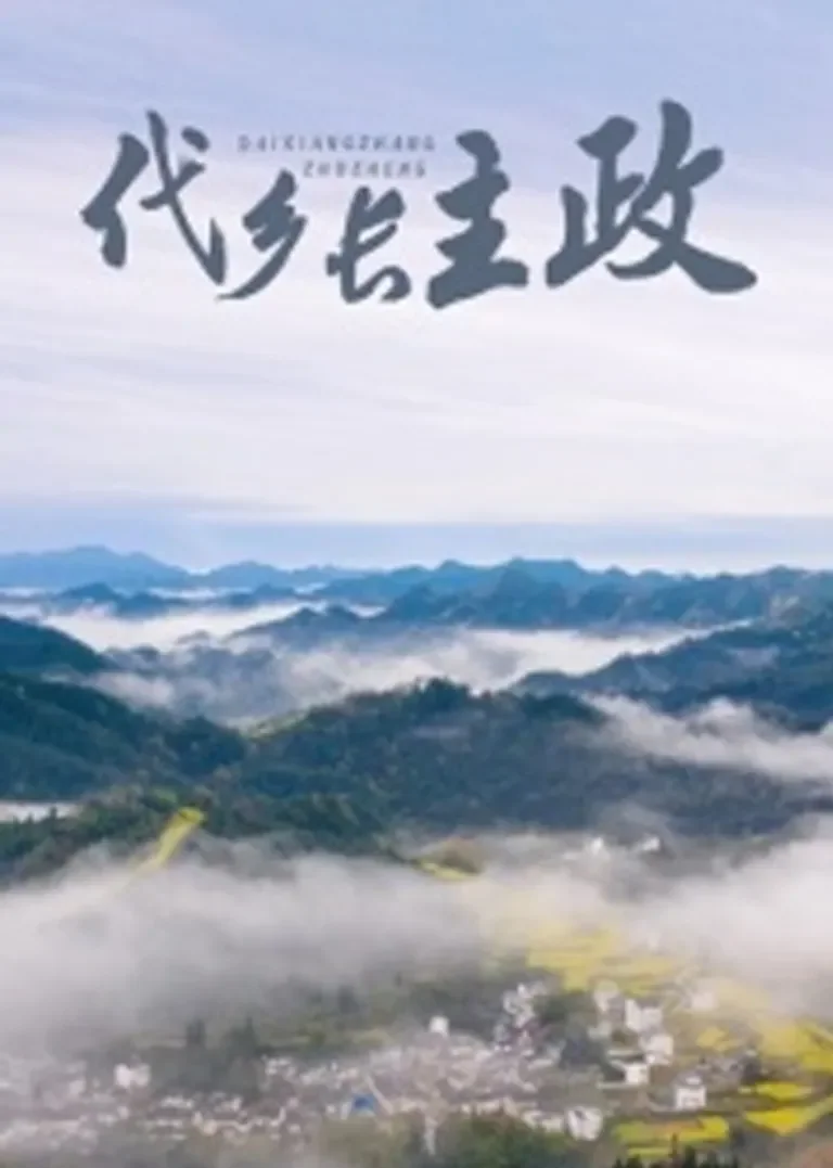 代乡长主政电影海报