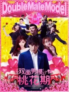双面男模之桃花期电影海报
