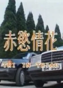 赤欲情花电影海报