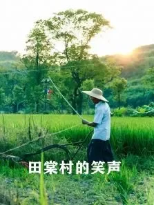 田棠村的笑声电影海报