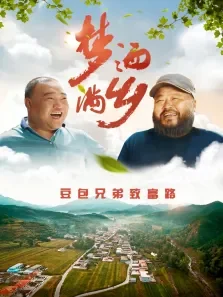 梦洒满乡电影海报