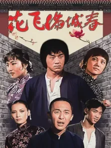 花飞满城春电影海报