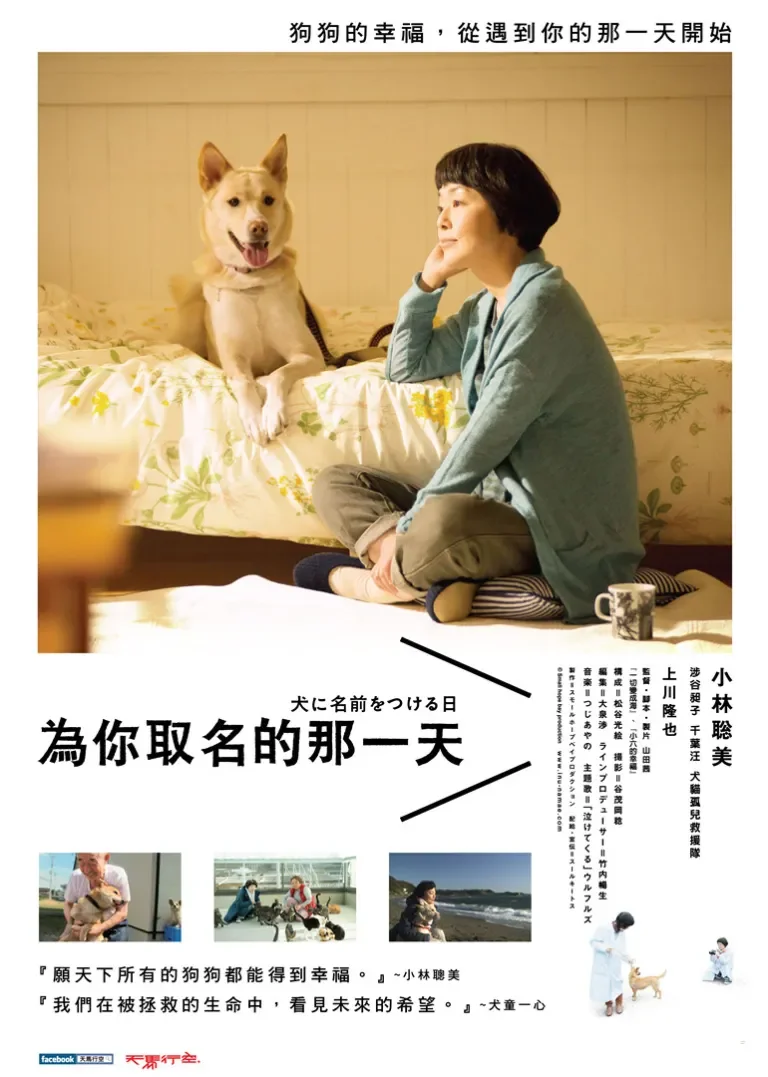 为你取名的那一天电影海报