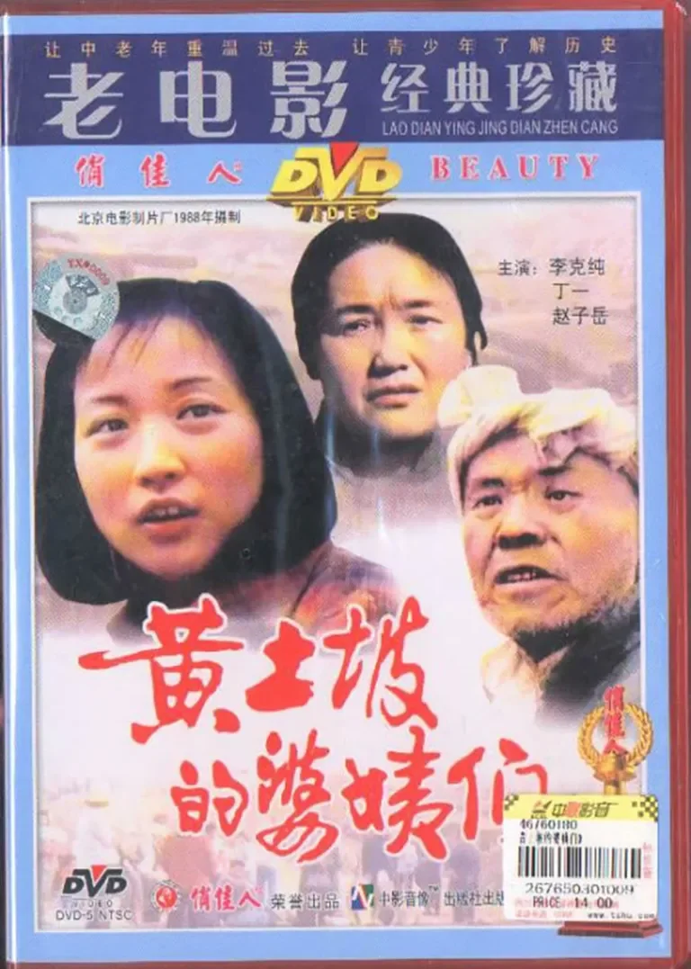 黄土坡的婆姨们电影海报