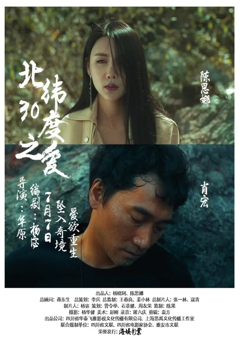 北纬30度之爱电影海报