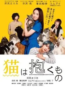 猫是要抱着的电影海报