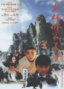 少林俗家弟子电影海报