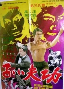 功夫小子电影海报