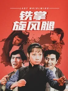 铁掌旋风腿电影海报