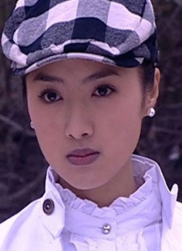 宝石迷踪电影海报