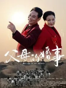父母的婚事电影海报