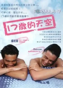 17岁的天空电影海报