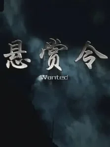 悬赏令电影海报