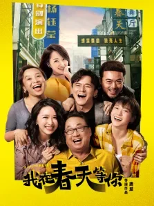 我在春天等你电影海报