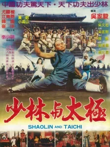 少林与太极电影海报