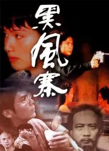 黑风寨电影海报