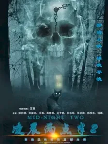 凌晨两点半2电影海报