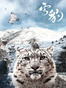 雪豹和她的朋友们电影海报