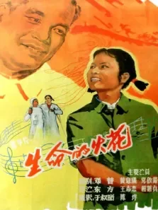 生命的火花电影海报