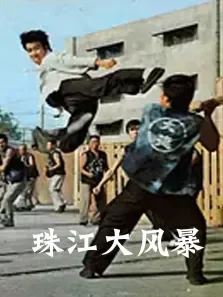 珠江大风暴电影海报