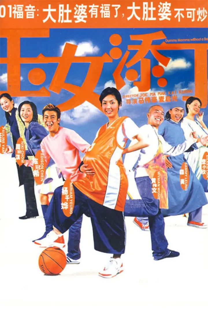 玉女添丁电影海报