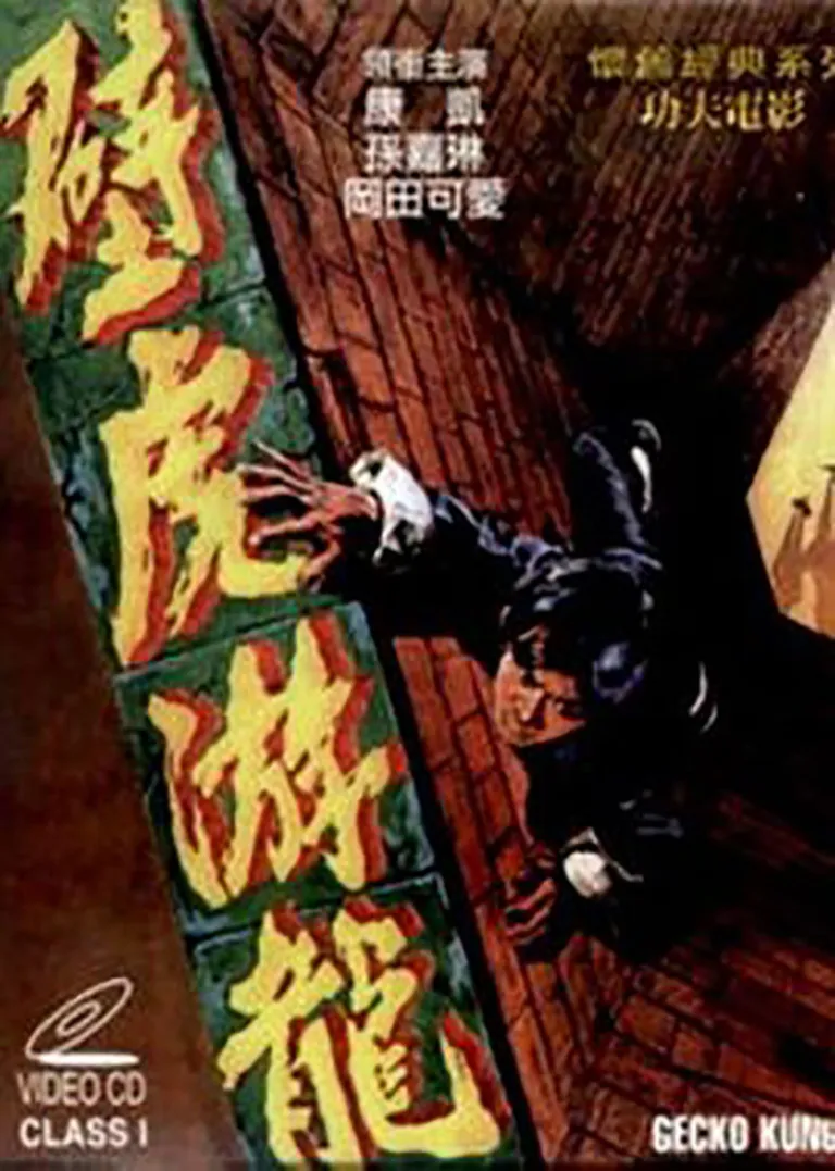 壁虎游龙电影海报