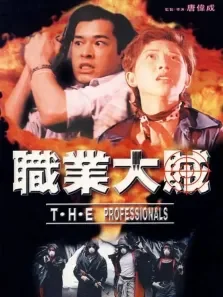 职业大贼电影海报