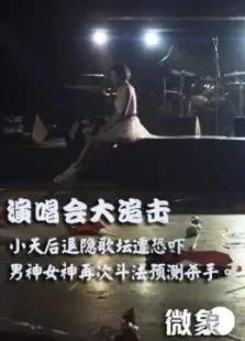 演唱会大追击电影海报