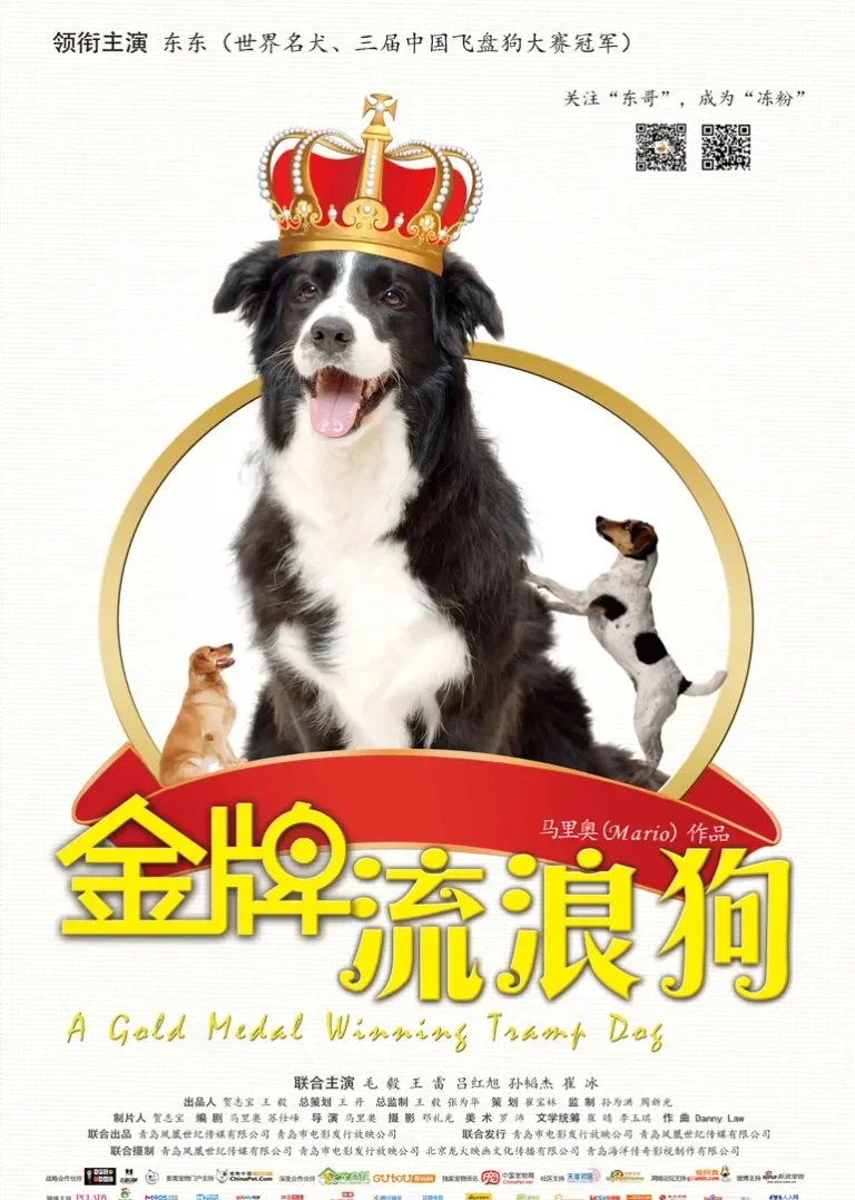 金牌流浪狗电影海报