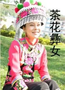 茶花彝女电影海报