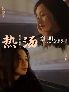 热汤电影海报