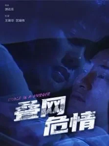 叠网危情电影海报