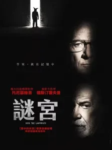迷宫中的人电影海报