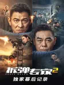 拆弹专家2独家幕后记录电影海报